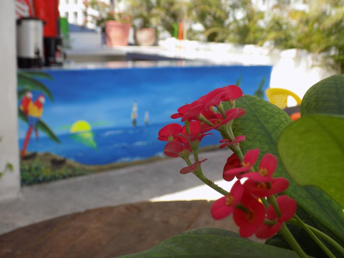 Hostal Caracoles Cartagena Exterior photo