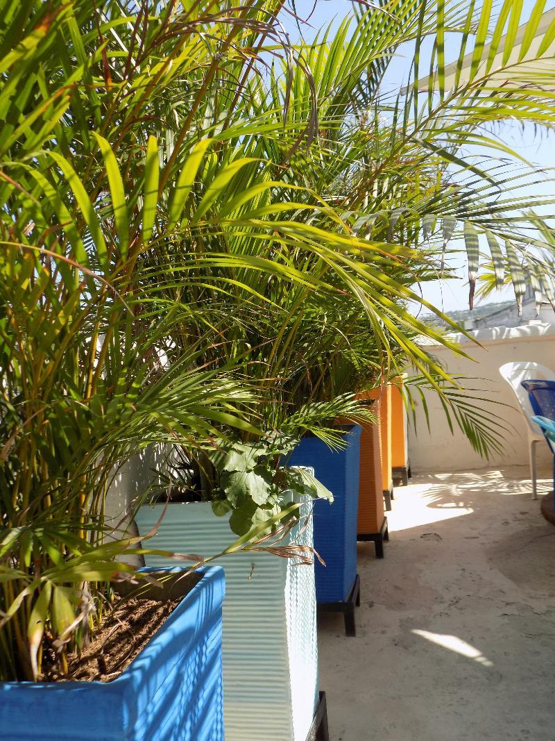 Hostal Caracoles Cartagena Exterior photo